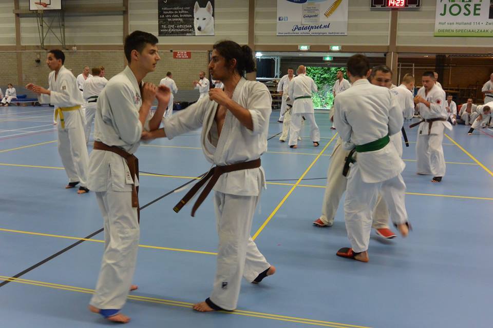 Ashihara Karate Deutschland